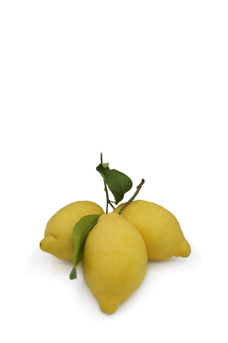 Citron frais bio