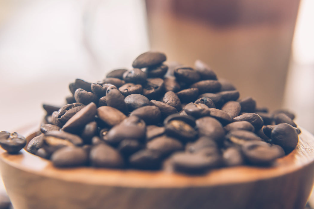 RITUS café en grain biologique