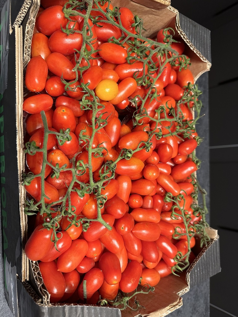Tomates Datterino 1kg