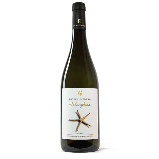 [PVIN00001] Falanghina IGT (2024)