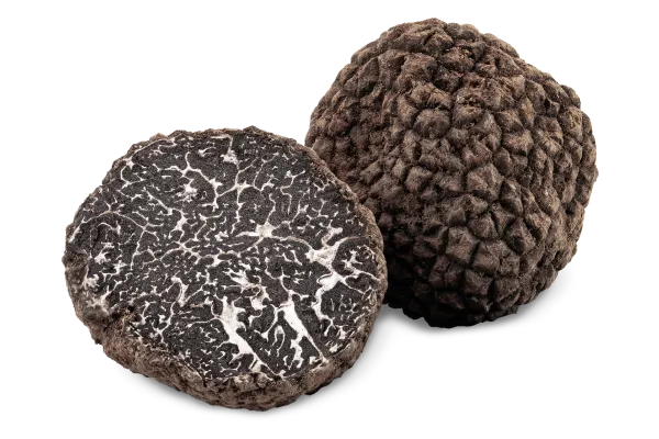 Truffes noires entières calibre 15g à 30g Tuber Melanosporum Vittad.